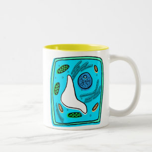 Photosynthesis Mug