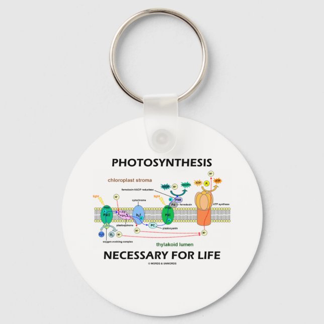 Photosynthesis Necessary For Life Key Ring (Front)