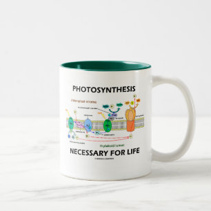 Photosynthesis Necessary For Life Two-Tone Coffee Mug