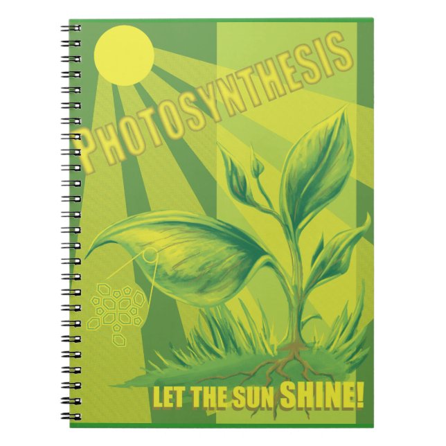 Photosynthesis Notebook (Front)