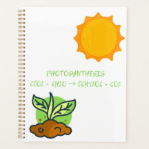 Photosynthesis  