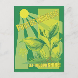 Photosynthesis Postcard