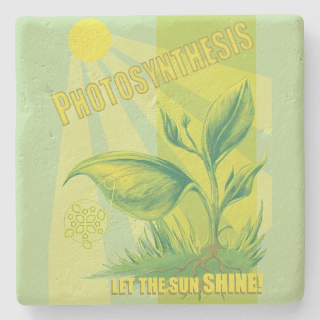 Photosynthesis Stone Coaster (Front)
