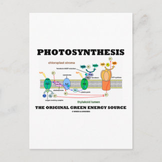 Photosynthesis The Original Green Energy Source Postcard