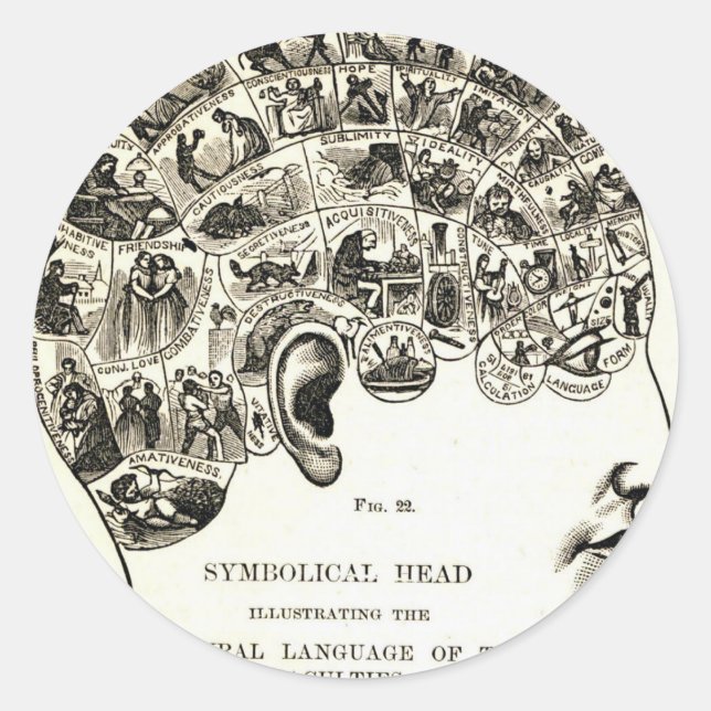 Phrenology Classic Round Sticker (Front)