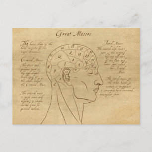 Phrenology Diagram Postcard