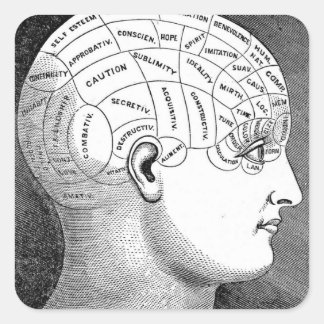 Phrenology Head Diagram Square Sticker