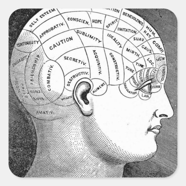 Phrenology Head Diagram Square Sticker (Front)