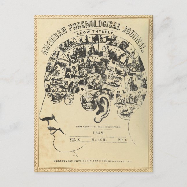 Phrenology: Know Thyself (Postcard) Postcard (Front)