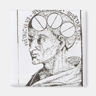 Phrenology Magnet