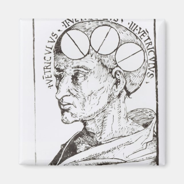 Phrenology Magnet (Front)