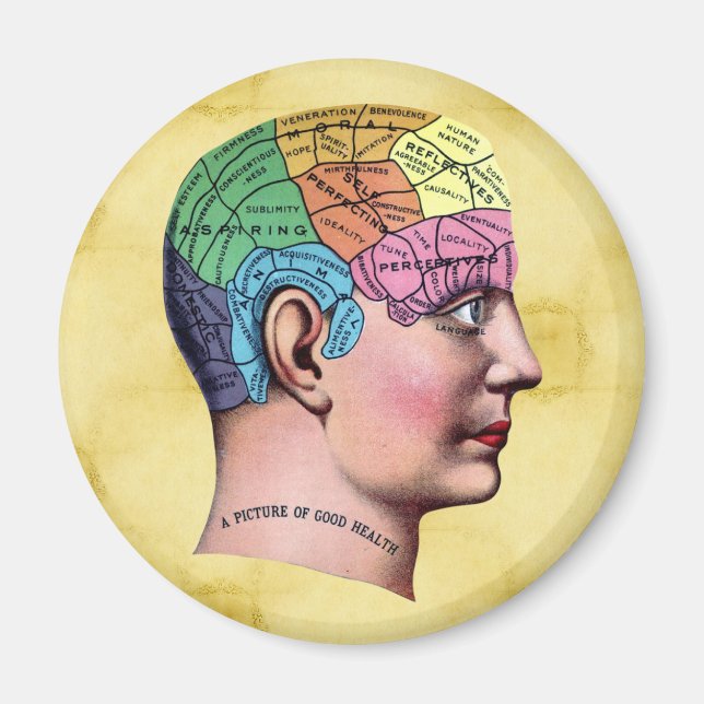Phrenology Magnet (Front)