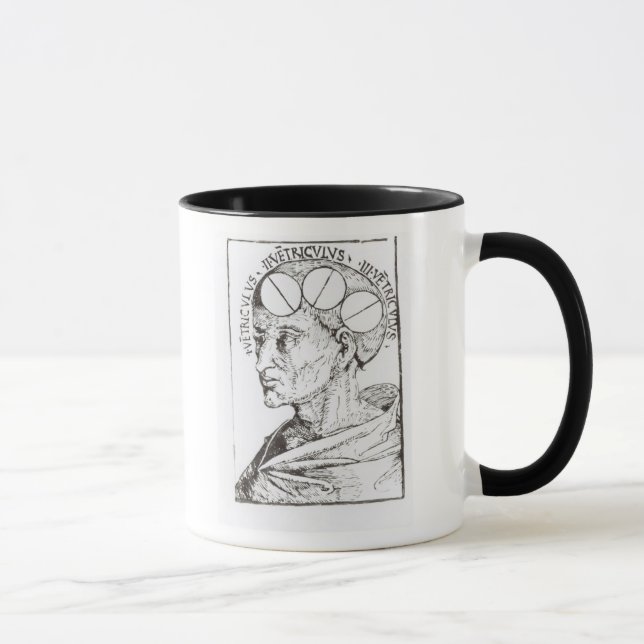 Phrenology Mug (Right)
