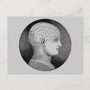 Phrenology Postcard