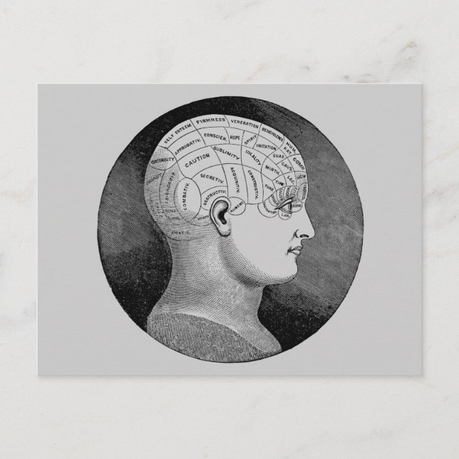 Phrenology Postcard (Front)