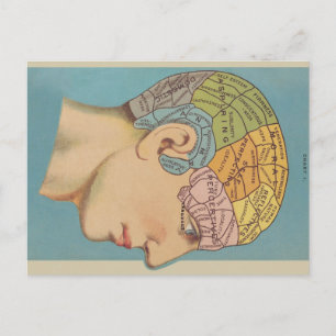 Phrenology Postcard