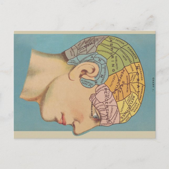 Phrenology Postcard (Front)
