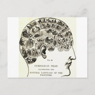 Phrenology Postcard