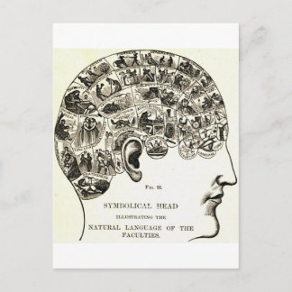Phrenology Postcard