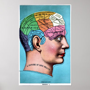 Phrenology Poster