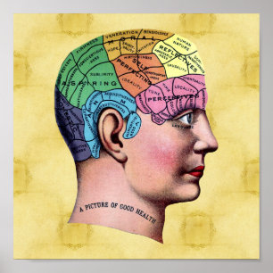 Phrenology Poster