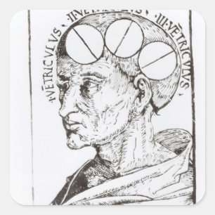 Phrenology Square Sticker