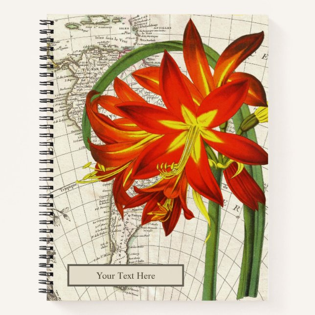 Phycella Fulgens Notebook (Front)