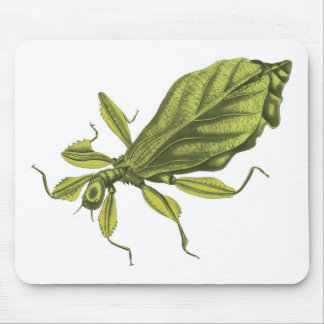 Phyllium Siccifolia Mouse Mat