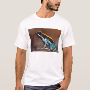 Phyllobates vittatus, a poison arrow frog T-Shirt
