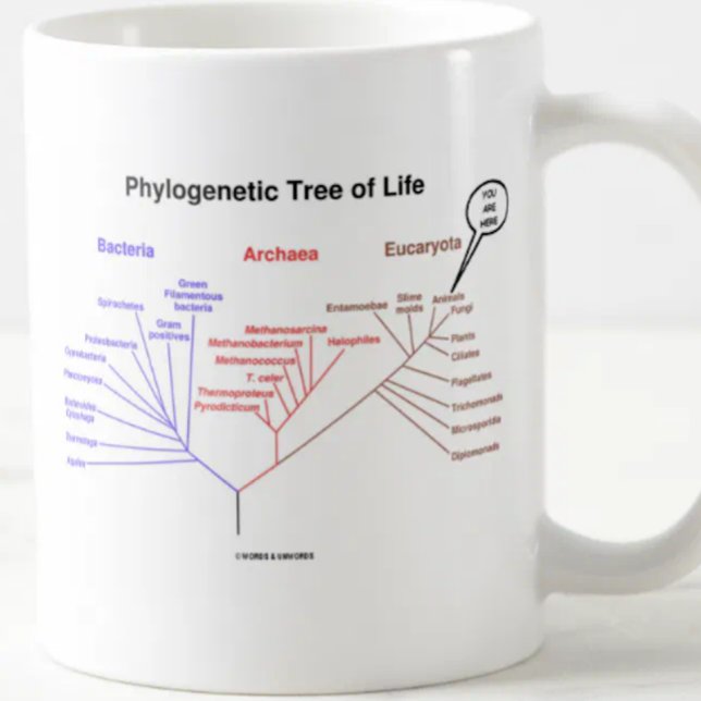 Phylogenetic Tree Of Life - You Are Here (Biology) Coffee Mug (Mug featuring the phylogenetic tree of life along with the "You Are Here" call-out)