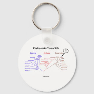 Phylogenetic Tree Of Life - You Are Here (Biology) Key Ring