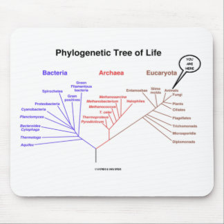Phylogenetic Tree Of Life - You Are Here (Biology) Mouse Mat