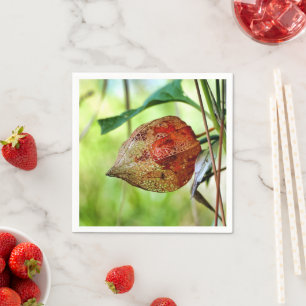 Physalis alkekengi Paper Napkins