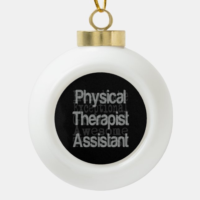 Physical Therapist Assistant Extraordinaire Ceramic Ball Christmas Ornament (Front)