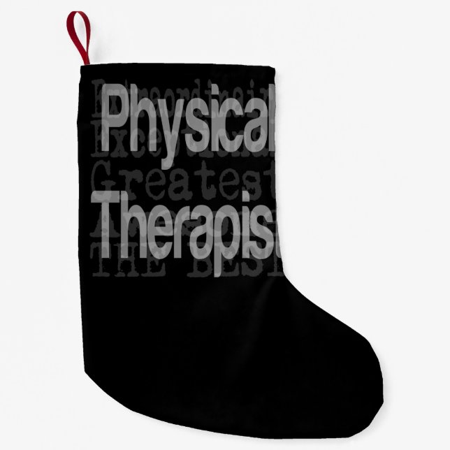 Physical Therapist Extraordinaire Small Christmas Stocking (Front)