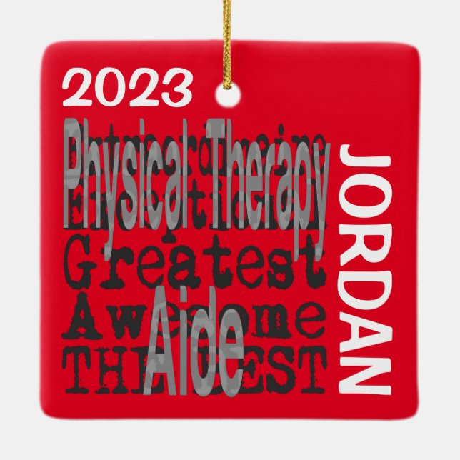 Physical Therapy Aide Extraordinaire CUSTOM Ceramic Ornament (Back)