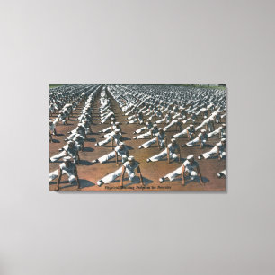 Physical Training Program for Recruits - US Navy Canvas Print