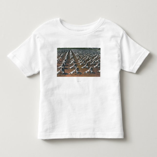 Physical Training Program for Recruits - US Navy Toddler T-Shirt (Front)