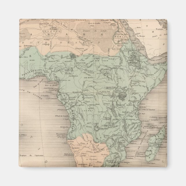 Physics Africa Magnet (Front)