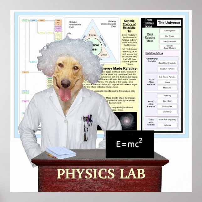 Physics Lab Poster (Front)