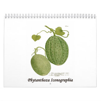 Phytanthoza Iconographia Calendar