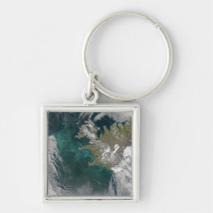 Phytoplankton bloom in the North Atlantic Ocean Key Ring