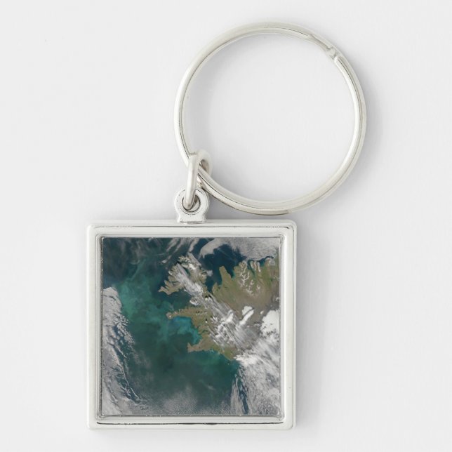 Phytoplankton bloom in the North Atlantic Ocean Key Ring (Front)