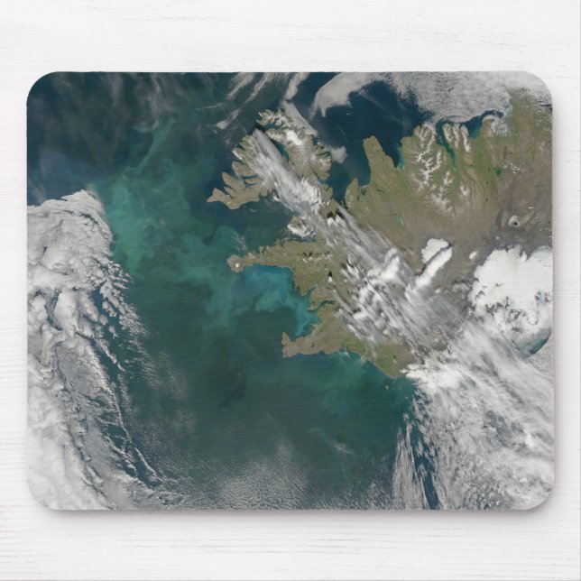 Phytoplankton bloom in the North Atlantic Ocean Mouse Mat (Front)