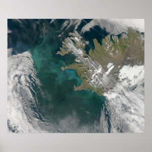 Phytoplankton bloom in the North Atlantic Ocean Poster