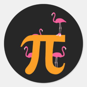 Pi Math Funny Pi Day 3.14 Math Funny Flamingo Gift Classic Round Sticker
