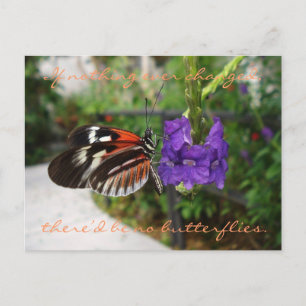 Piano Butterfly Postcard / Quote