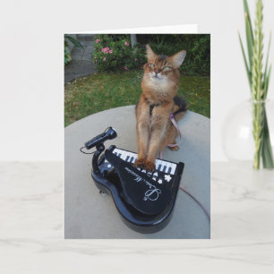 Piano Cat, Somali Cat Musician Playing Piano Funny Card