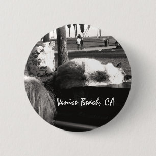 Piano Cat Venice Beach California Photography 6 Cm Round Badge