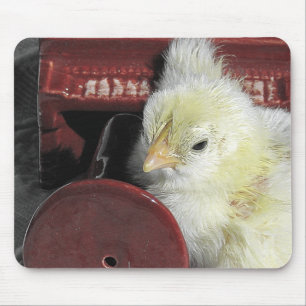 Piano Chick Vintage Look Photo Mouse Mat